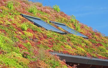 Pontyglasier living roof systems