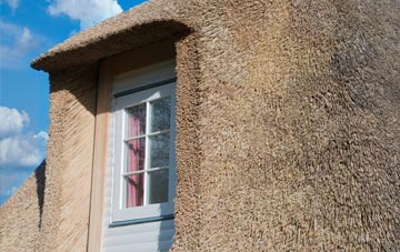 Pontyglasier thatch roof disadvantages