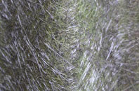 Pontyglasier fibreglass roof work